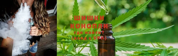 индика Балахна