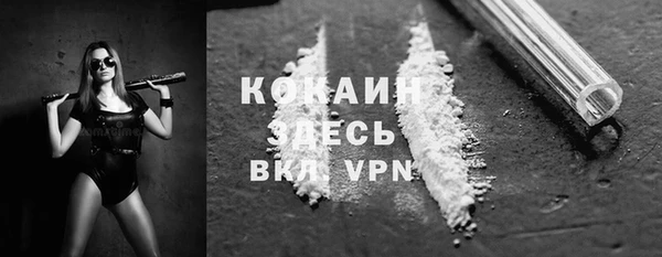 индика Балахна