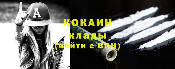 индика Балахна