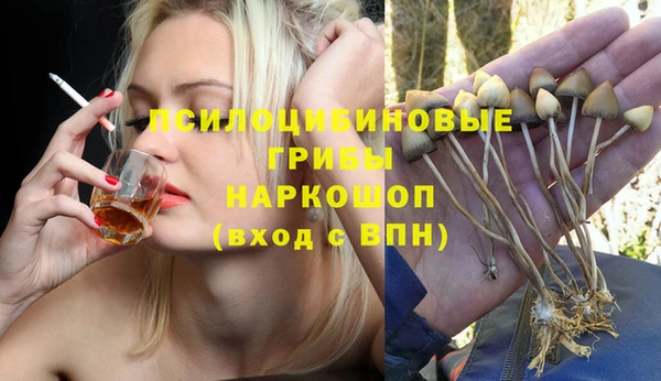 индика Балахна