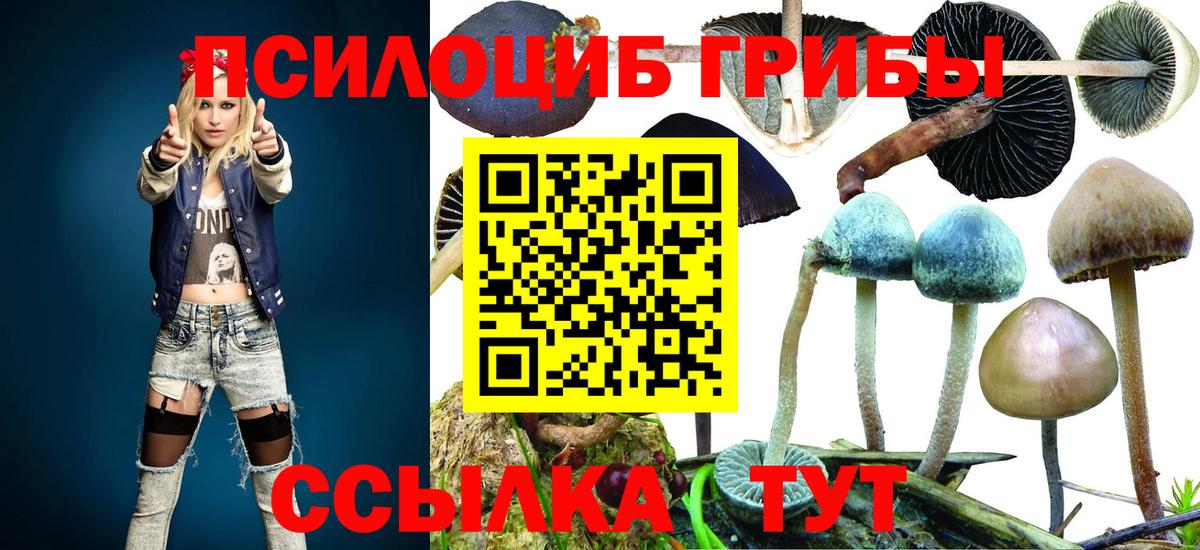 Спасск-Дальний  Псилоцибиновые грибы Cubensis  Вход с VPN  Галлюциногенные грибы MAGIC MUSHROOMS 